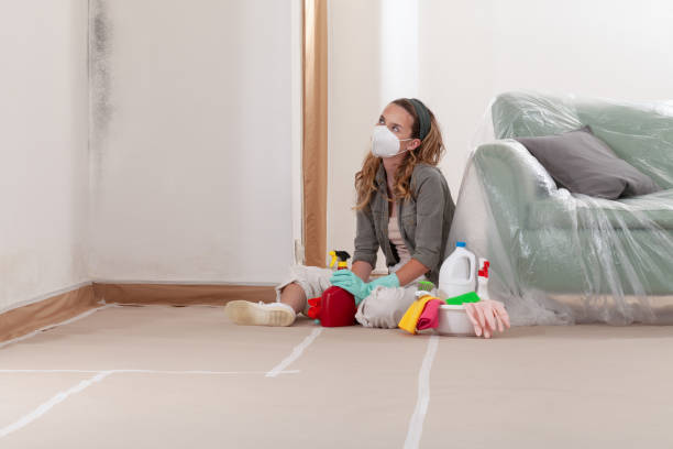 Reliable Mold Cleanup contractor in Dunkirk, NY by WQB Mold Removal